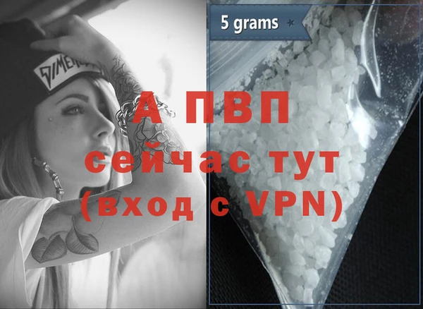 амф Кодинск