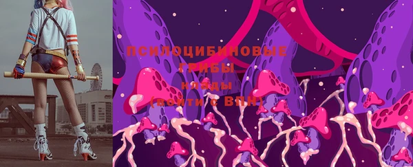 амф Кодинск