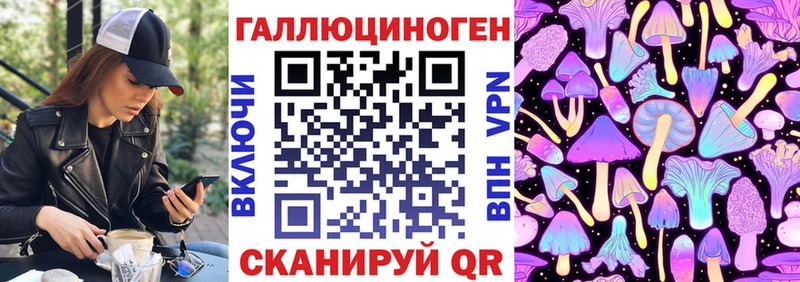 Псилоцибиновые грибы Cubensis Бирюч