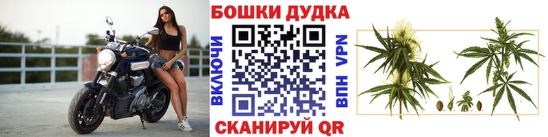 Купить закладки  Бирюч  Каннабис OG Kush 